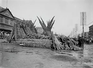 Vendor Prints: Cut Christmas trees, market in front of Barclay Street Station