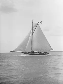 Lee Broadside Prints: The cutter Nereid under sail, 1912. Creator: Kirk & Sons of Cowes