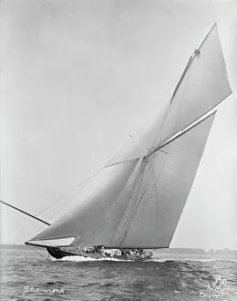 Sailing Collection: The cutter Shamrock beating upwind. Creator: Kirk & Sons of Cowes