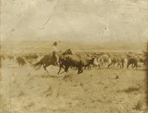 Smith Prints: Cutting out from the herd, 1907. Creator: Smith, Erwin Evans (1886-1947)