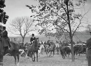 Cutting hunt, 1933 Nov. Creator: Arnold Genthe
