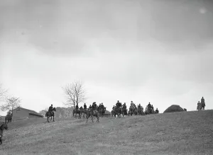 Cutting hunt, 1933 Nov. Creator: Arnold Genthe