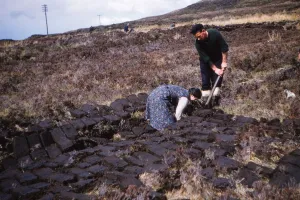 Peat Prints: Cutting Peat near Edinbane, Isle of Skye, Scotland, c1960. Artist: CM Dixon
