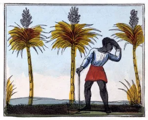 Sugarcane Prints: Cutting Sugar Cane, 1826. Artist: Amelia Alderson Opie
