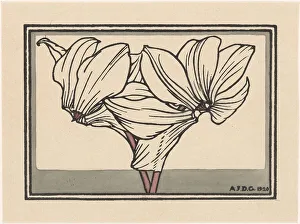 Line Drawing Prints: Cyclamen, 1920. Creator: Julie de Graag