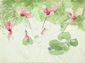 Wiik Maria Prints: Cyclamen. Creator: Maria Wiik