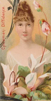 Duke W Sons Co Prints: Cyclamen: Diffidence, from the series Floral Beauties and Language of Flowers (N75