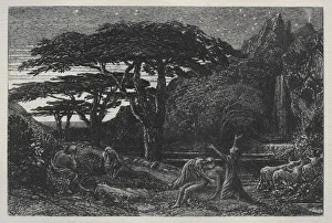 Samuel Palmer Prints: The Cypress Grove, 1883. Creator: Samuel Palmer (British, 1805-1881)
