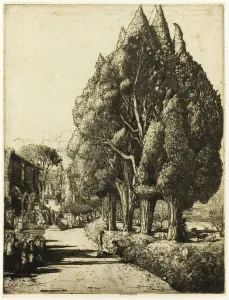 Cypress Prints: The Cypress Grove, 1904. Creator: Donald Shaw MacLaughlan