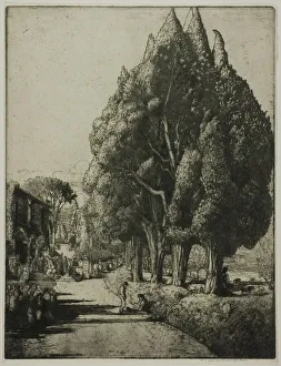 The Cypress Grove, 1904. Creator: Donald Shaw MacLaughlan
