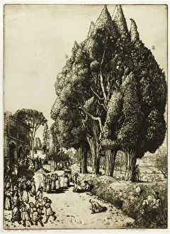 Cypress Grove, 1904. Creator: Donald Shaw MacLaughlan