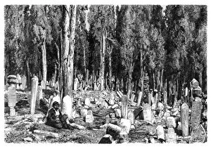 Cypress trees in the cemetery of Scutari, Turkey, 1895