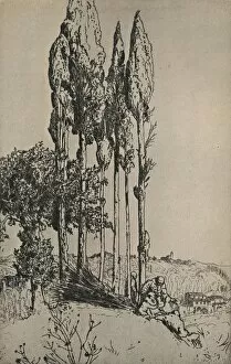 Cypress Trees Near Siena, 1903. Artist: Charles Holroyd