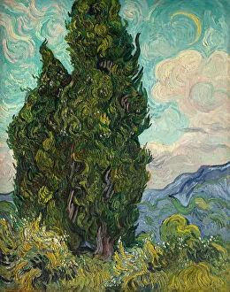 Gogh Vincent Van Gallery: Cypresses, 1889. Creator: Vincent van Gogh