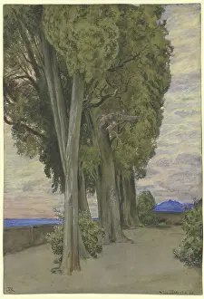 Waterfront Prints: Cypresses in the Villa d'Este, a circle of three putti below the treetops, 1880