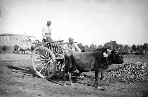 Cypro Prints: Cyprus, 1878. Creator: John Thomson