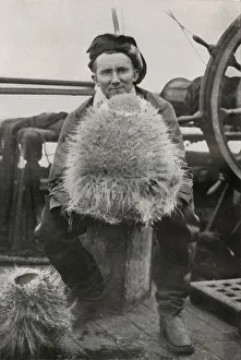 Robert Falcon Prints: D. G. Lillie, with Some of the Siliceous Sponges, c1911, (1913). Artist: Herbert Ponting