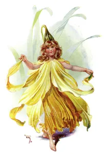 C Wilhelm Prints: The Daffodil, 1899