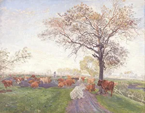 Dairy Cow Prints: Dairy cows at Dyrehavegård, 1895. Creator: Theodor Esbern Philipsen