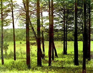 On the dam of the reservoir of the Chusovaya River (at the confluence of the Reshotka River), 1912. Creator: Sergey Mikhaylovich Prokudin-Gorsky
