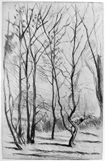 The Dam Wood, c1875 (1904). Artist: James Abbott McNeill Whistler