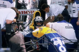 World Champion Prints: Damon Hill in his Williams-Renault, 1993