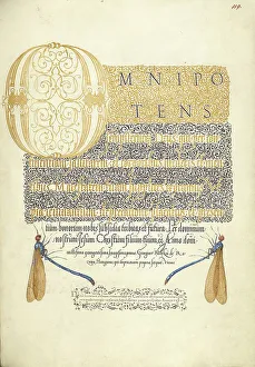 Damselfly Prints: Damselflies; Mira calligraphiae monumenta