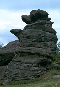 The Dancing Bear, Brimham Rocks The Dancing Bear, Brimham Rocks