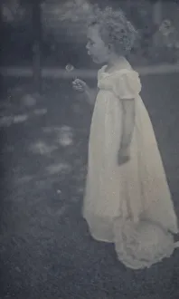 Platinum Prints 1900 Gmgpc Prints: Dandelions, c1900. Creator: Ema Spencer