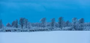 Panoramic Gallery: Danish Winter Morning. Creator: Dorte Verner