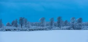 Panoramic Gallery: Danish Winter Morning. Creator: Dorte Verner