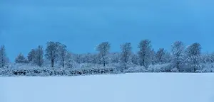 Photojournalism Prints: Danish Winter Morning. Creator: Dorte Verner