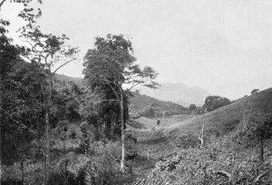 East Africa Prints: Dans les montagnes de l'Usambara; Afrique Australe, 1914. Creator: Unknown