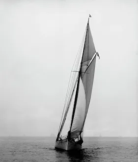 Daphne, 1893. Creator: Johns Johnston