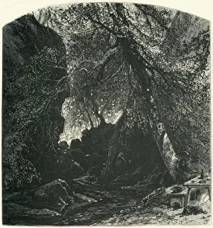 Irish Republic Prints: The Dargle, c1870