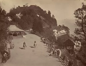 Himalayas Collection: Darjeeling, 1860s-70s. Creator: Unknown