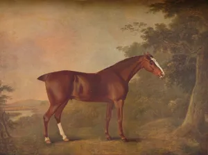 Chestnut Prints: A Dark Chestnut, 1788. Artists: John Boultbee, Unknown