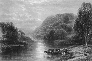 River Dart Prints: On the Dart, near Totnes, c1870