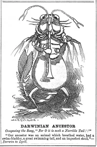 Darwin Prints: Darwinian Ancestor, 1887. Artist: George du Maurier