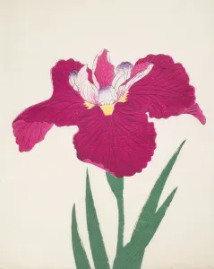Magenta Prints: Date-Dogu, No 2, 1890, (colour woodblock print)