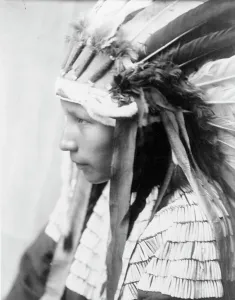 Hair Pipe Prints: The Daughter of Bad Horse (profile), c1905. Creator: Edward Sheriff Curtis