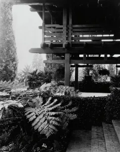 Cyathea Prints: David Berry Gamble house, 4 Westmoreland Place