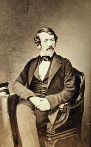 Livingstone David Prints: David Livingstone. Creator: Unknown