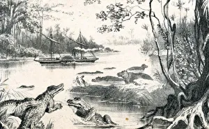 Crocodile Prints: David Livingstone navigating the Zambezi, Africa, 1852-1864 (c1878)
