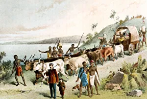 Waggon Prints: David Livingstone, Scottish missionary and African explorer, 1849 (c1878)