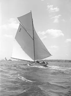 Davo III, a 12 Metre class sailing yacht, runs before the wind, 1911. Creator