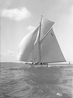 Cutter Prints: Davo III, a 12 Metre class sailing yacht, runs before the wind, 1911. Creator