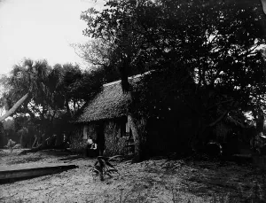 Indian River Prints: Dawson's, Gem Island, Indian River, between 1880 and 1897. Creator: William H. Jackson