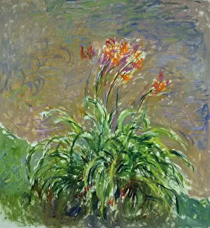 Daylilies (Les Hemerocalles), 1914-1917