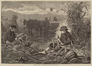 The Last Days of Harvest, published 1873. Creator: Winslow Homer